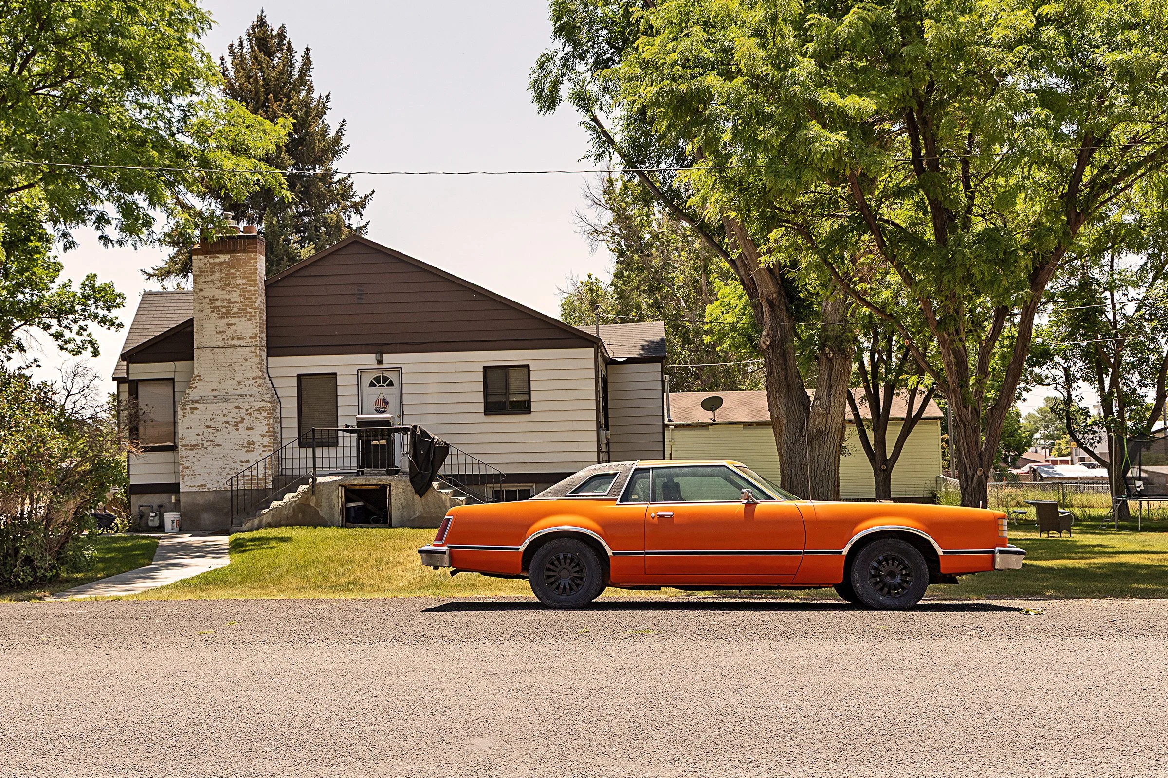 Orange Cougar, Gunnison, UT 2025