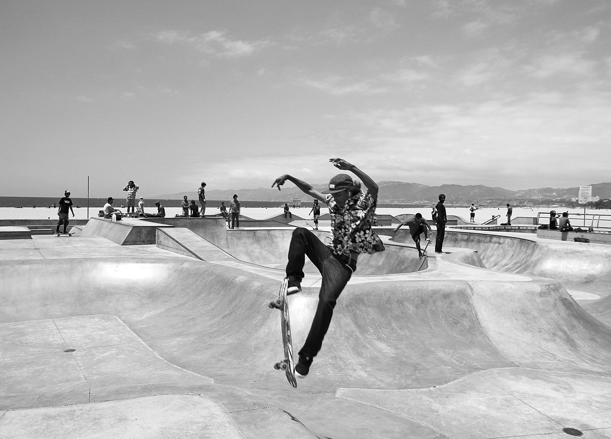 Skater_Venice_EXPO.jpg