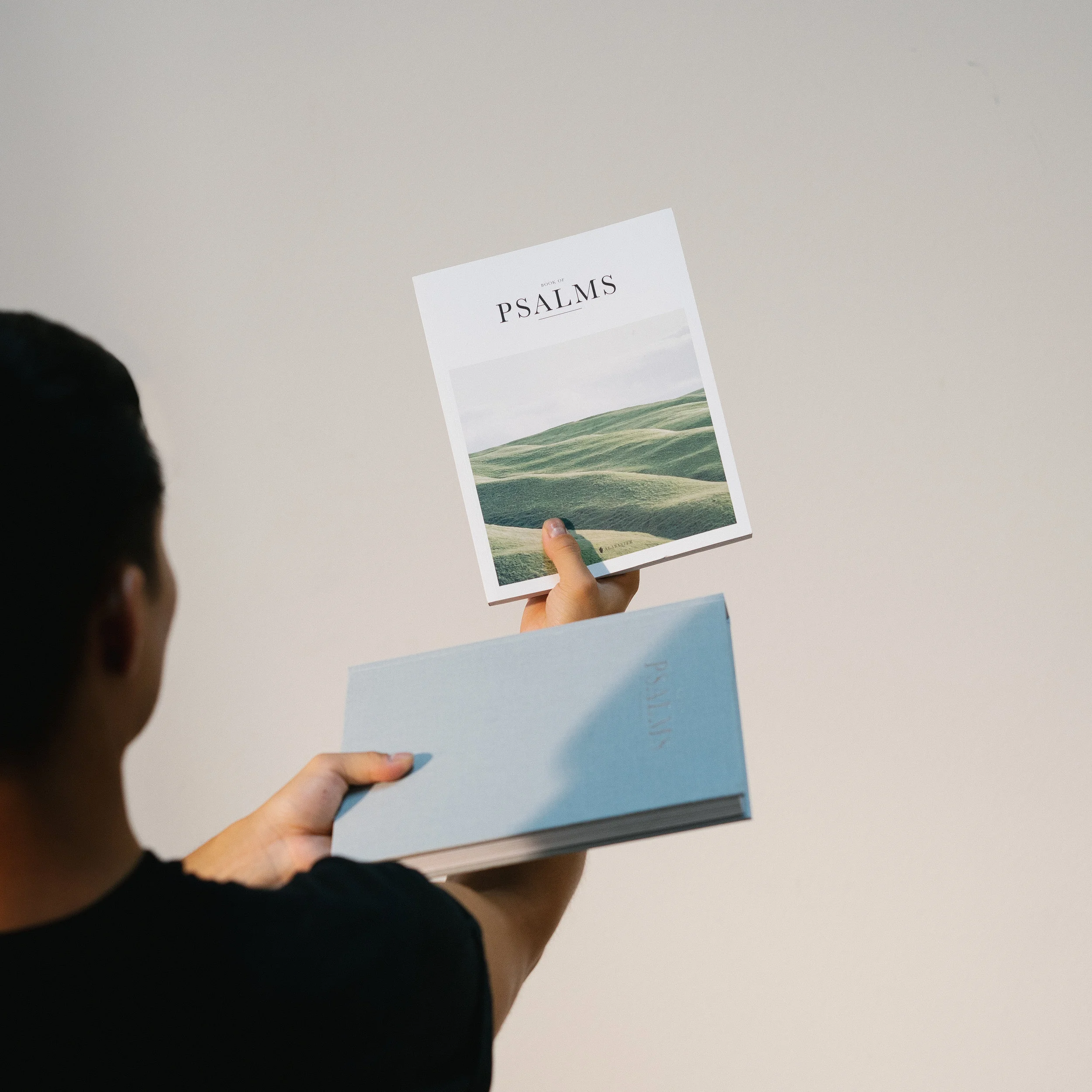 Heron Island Wedding Guide