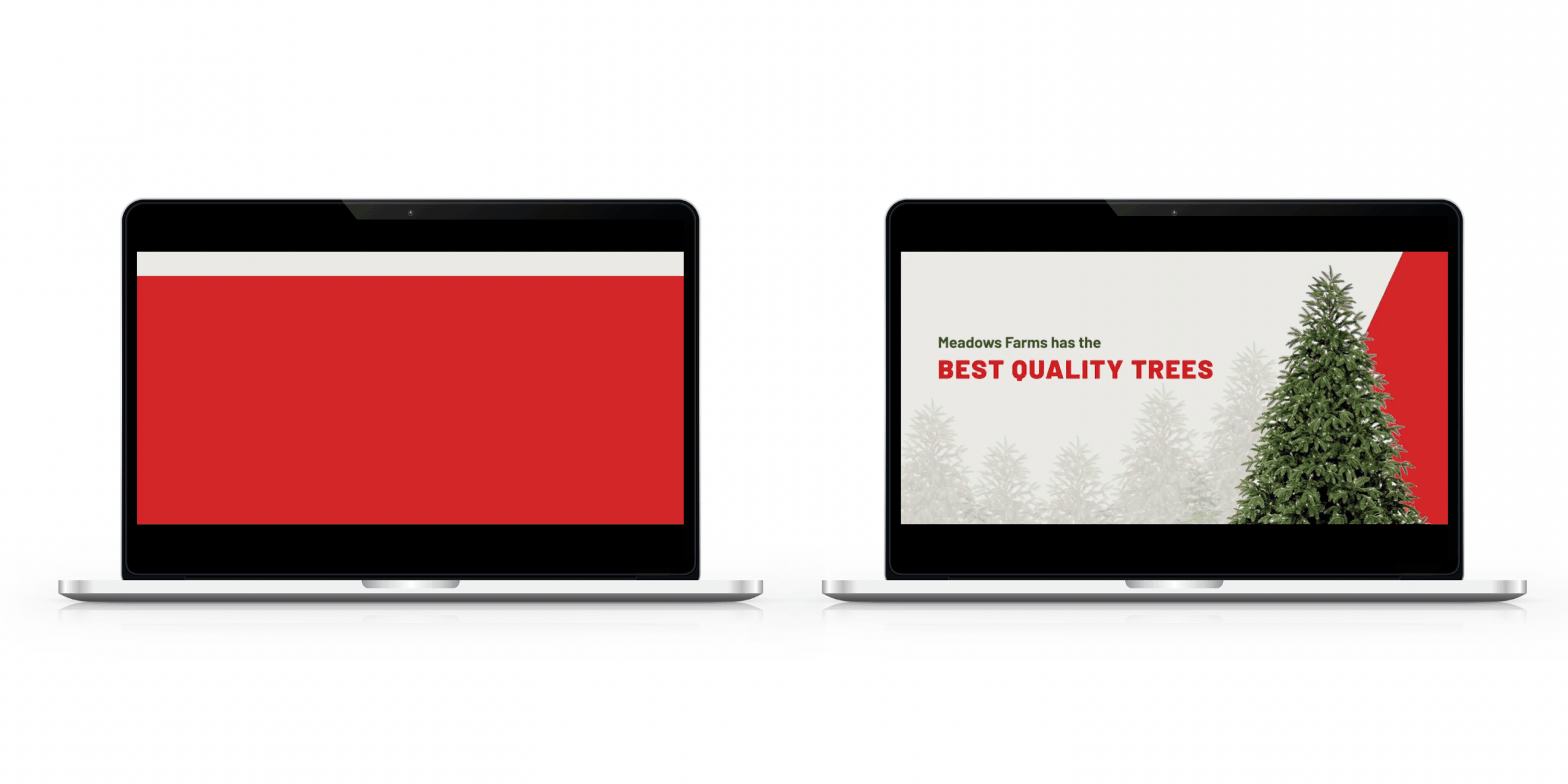 Long_LP copy copy copy.gif