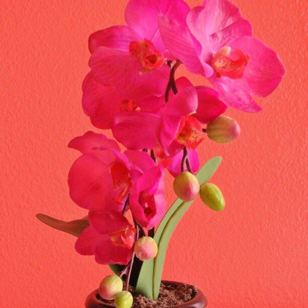 Absolutely obsessing over these color combinations we chose for my daughter's room! Loving these #orchids...jpg