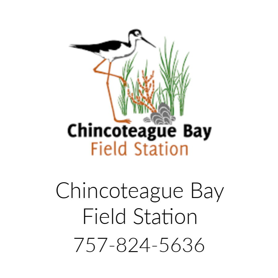 Chincoteague Bay Field Station.jpg