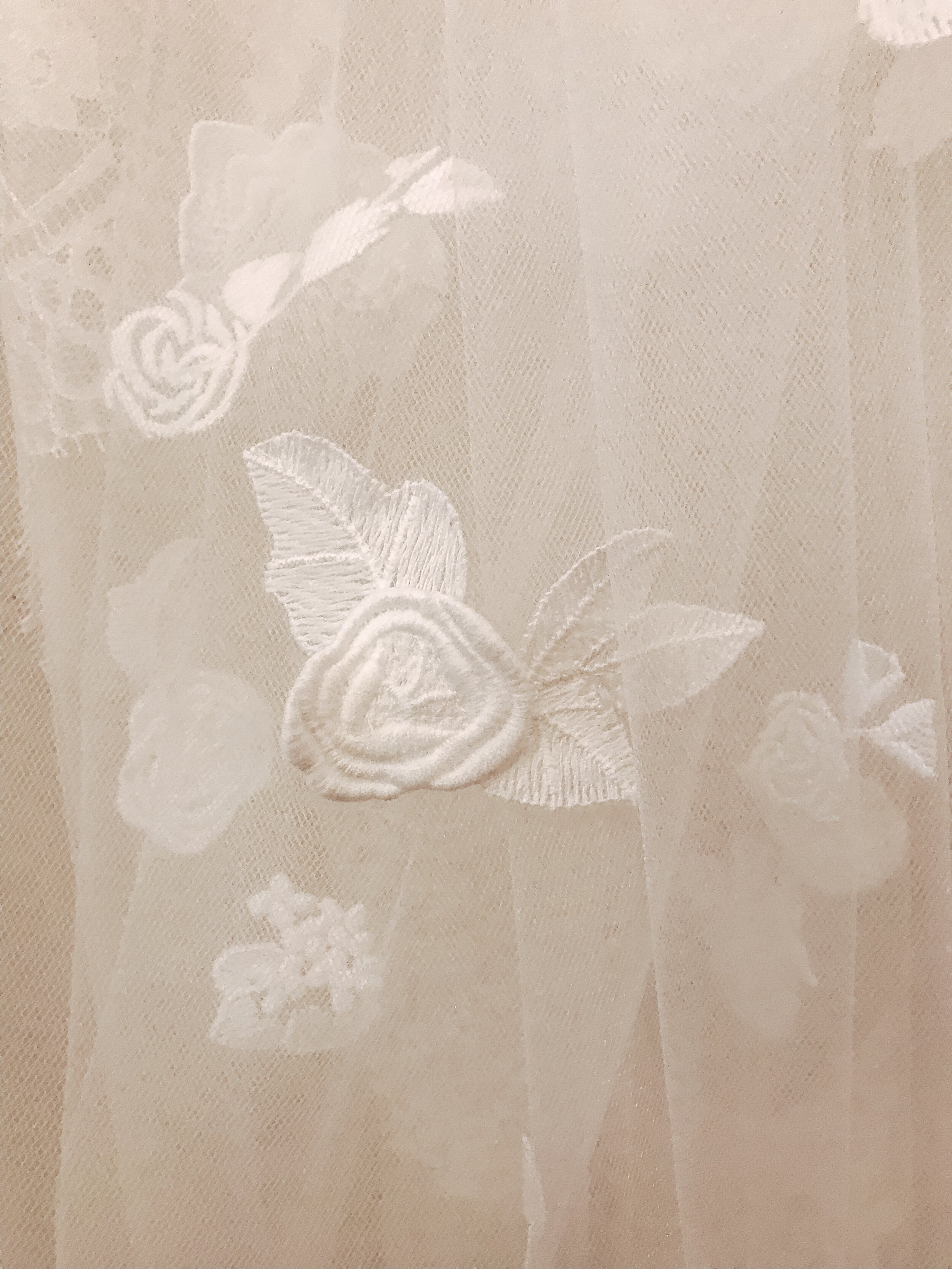 50F26340-4734-478F-A9C1-4D04FDF81C9D.jpeg