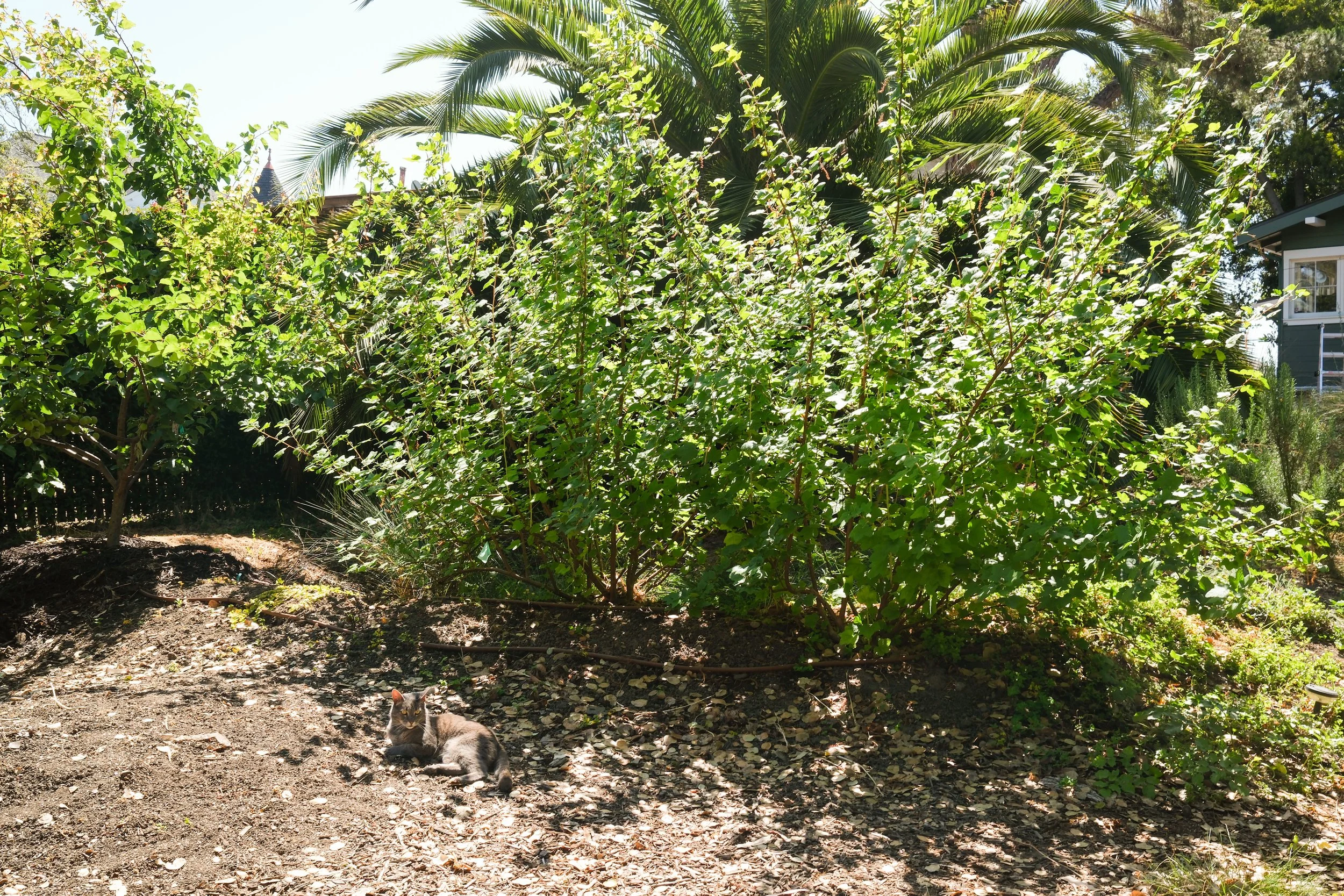 humboldt2_7728x5152.jpeg