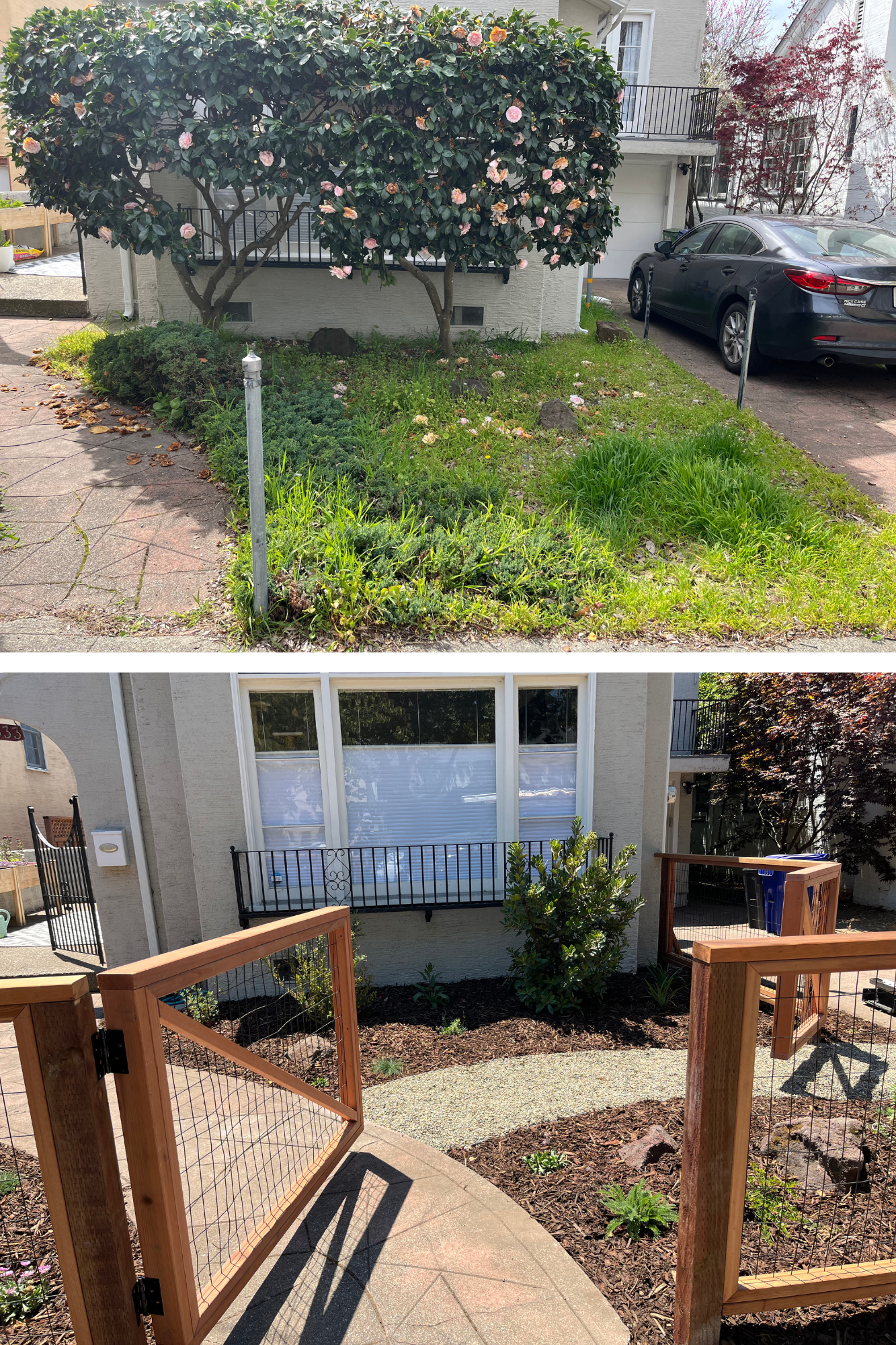 Patton front yard - before & after