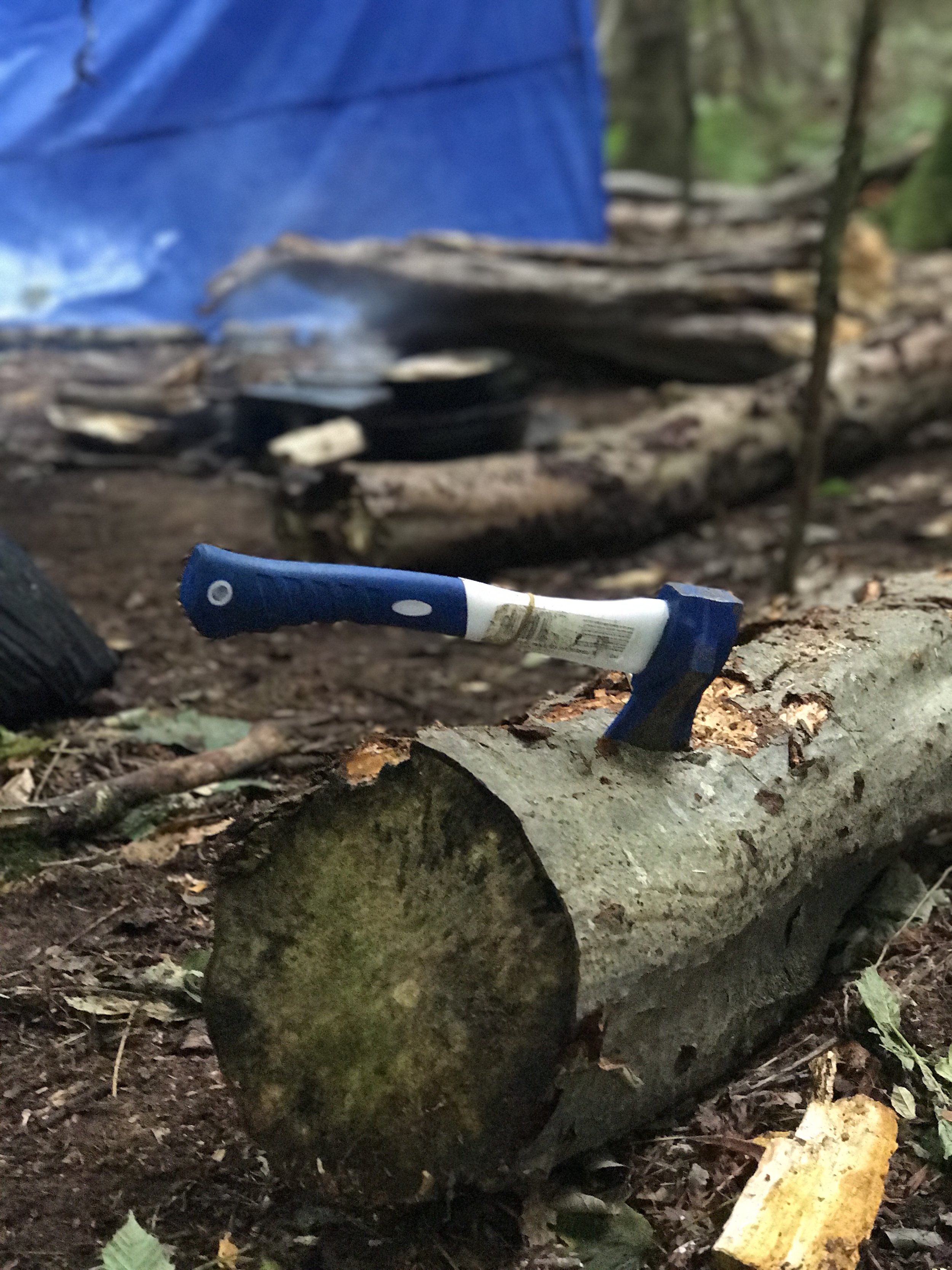 
Hostlie Environment Training - Day 3 & 4  