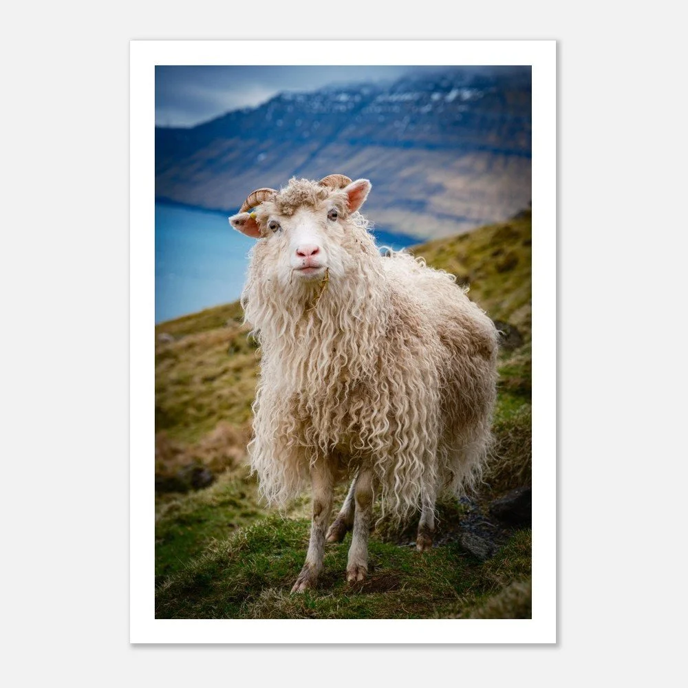 tmp-281-pdGUYXCCzYIi