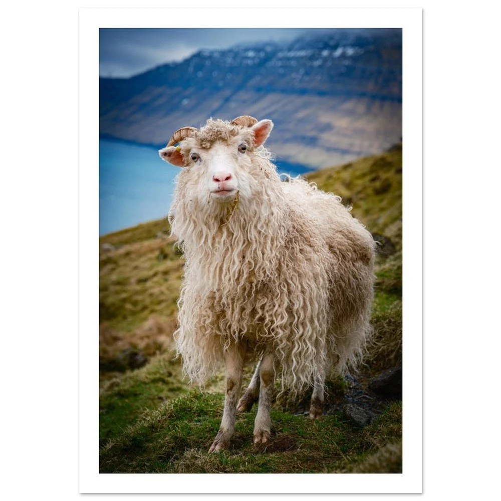 tmp-281-B6NWauHSRbFW