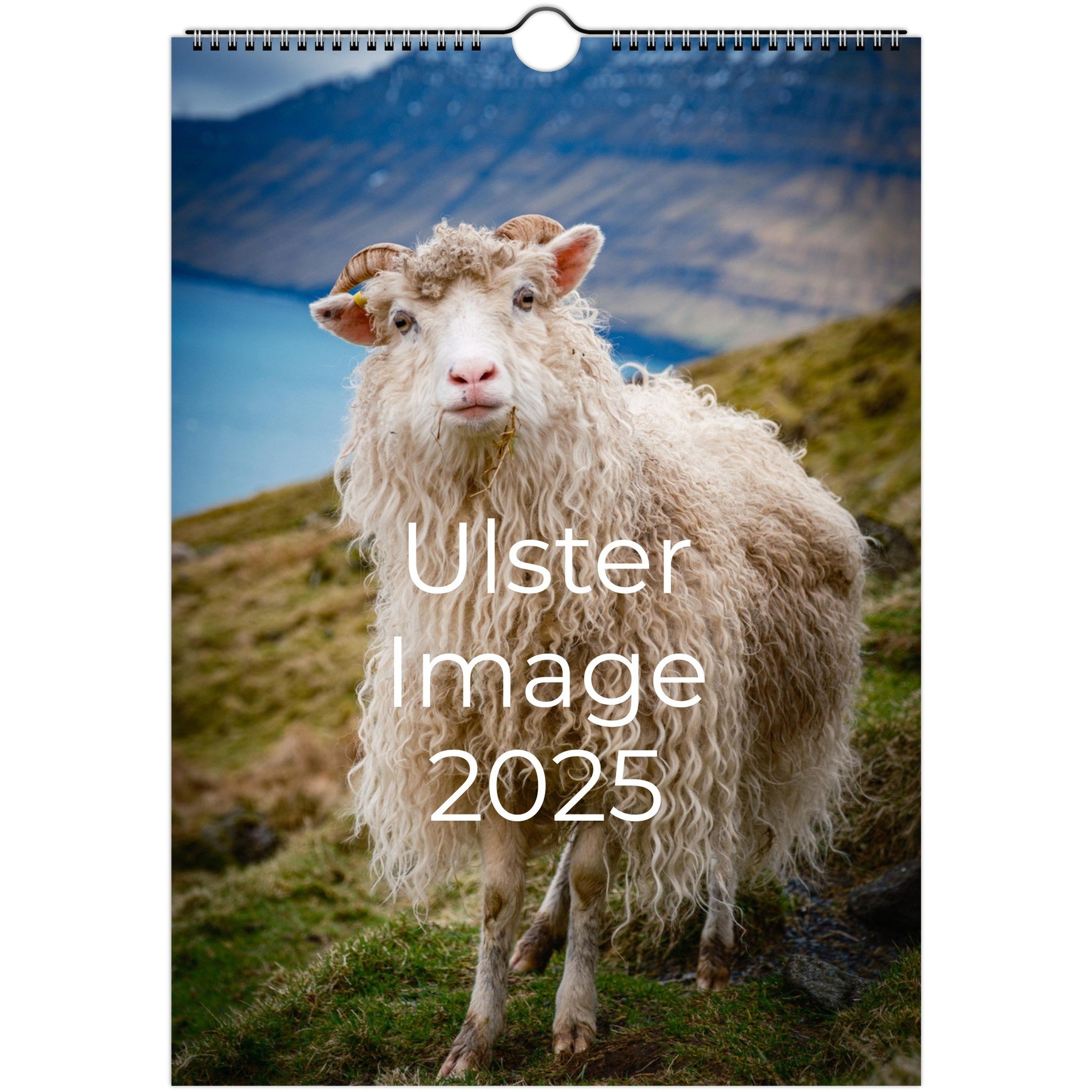 tmp-378-snOmVnKs6VNI