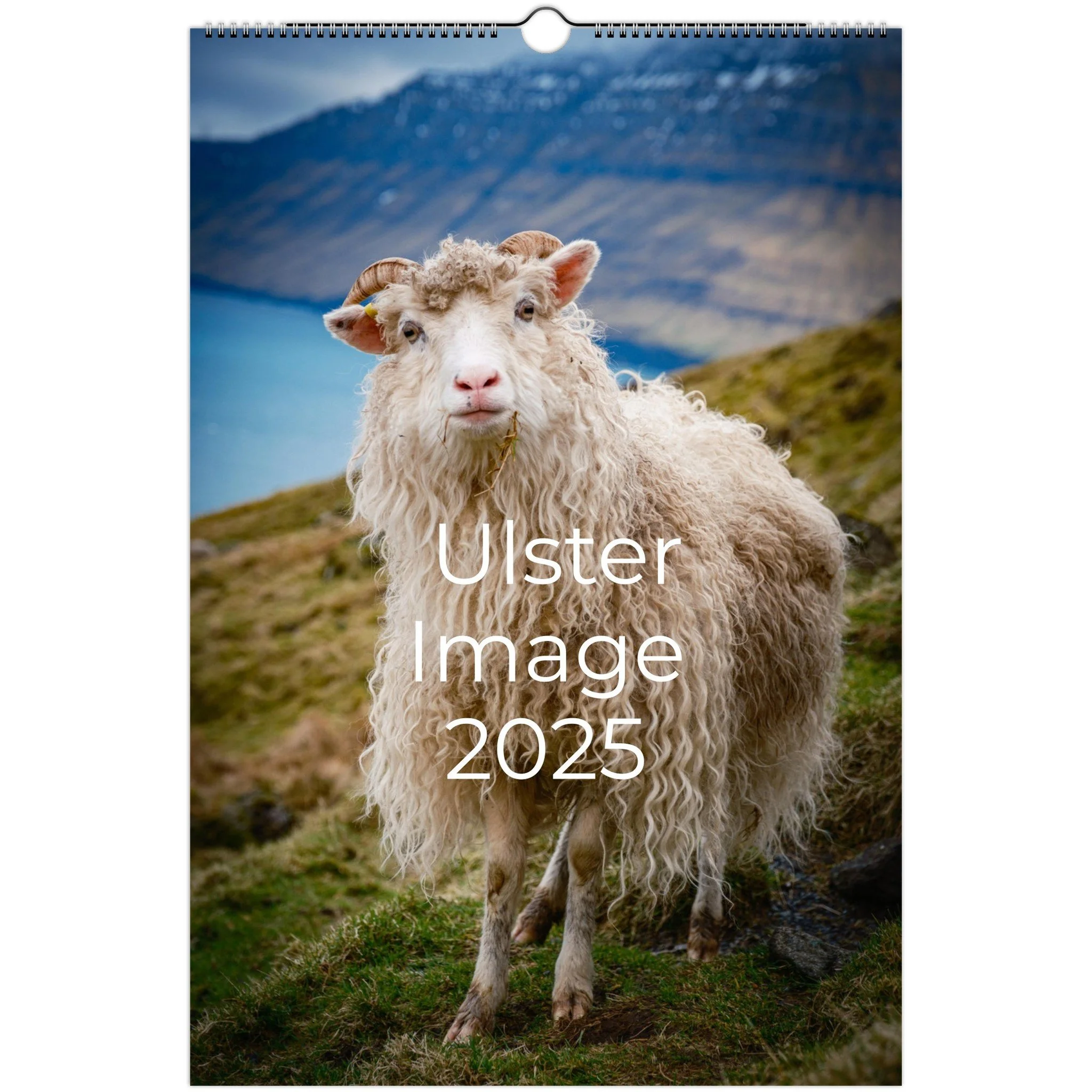 tmp-419-wFKaNRitb7mA