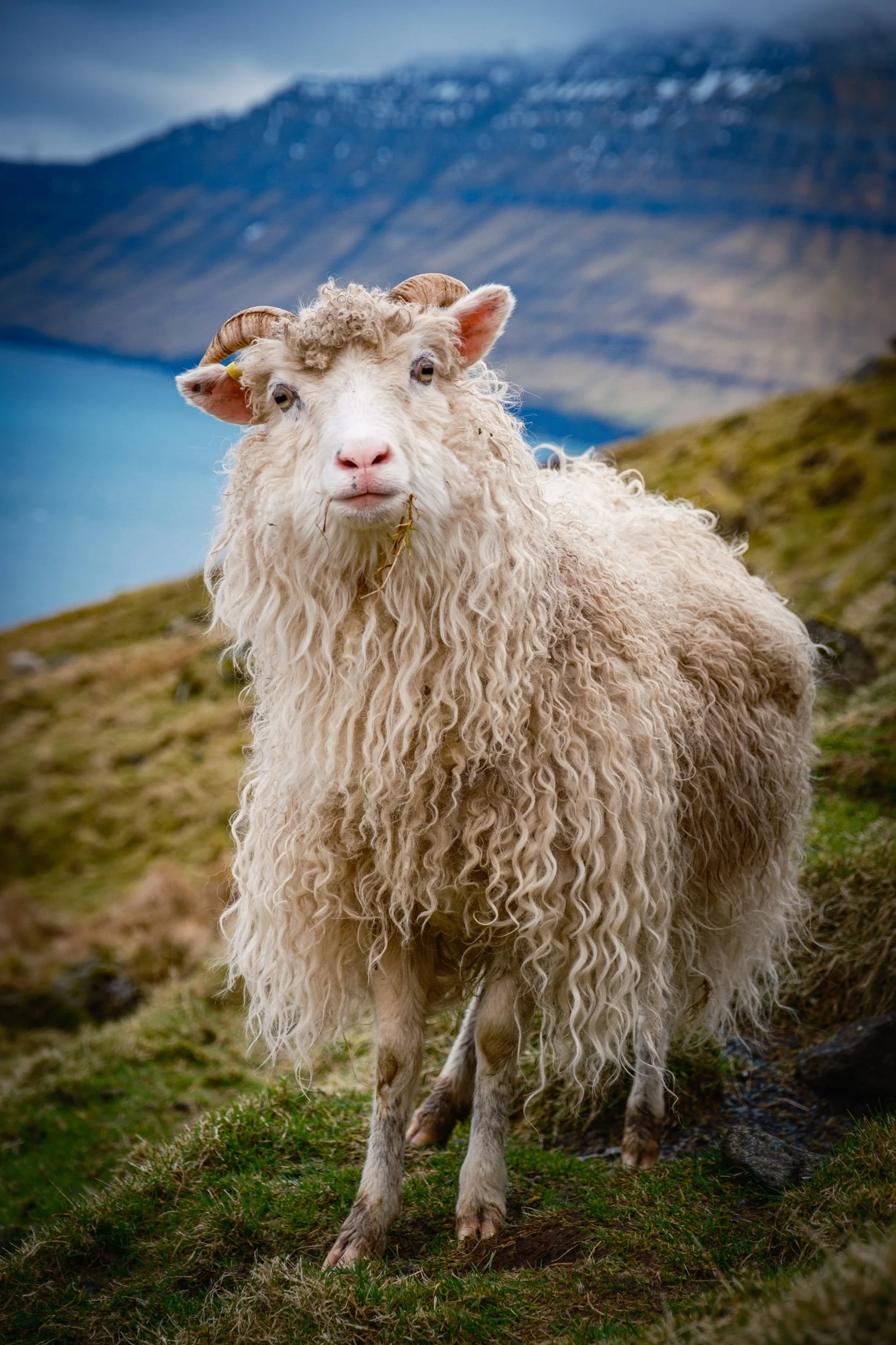 2024: A Year of Adventure, Beauty, and Reflection