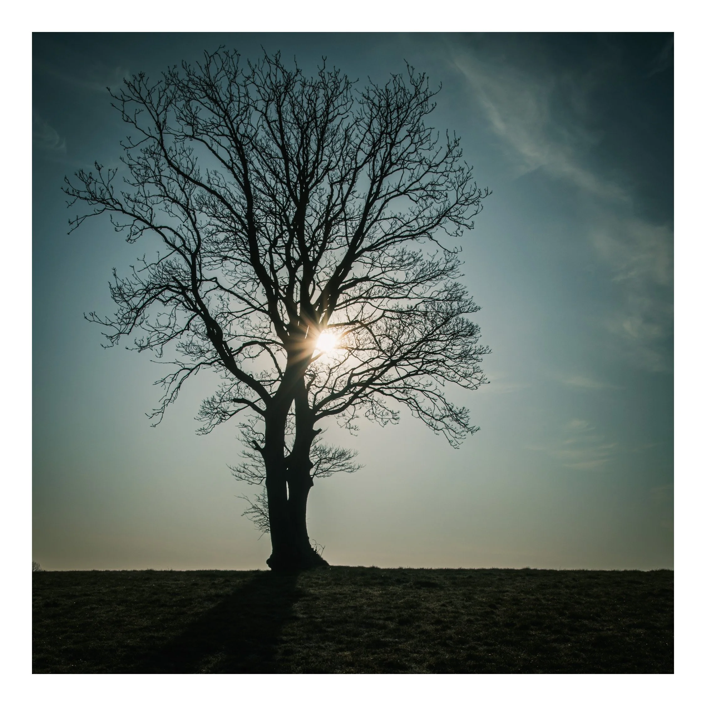 The Art of Minimalist Photography: Less is More  