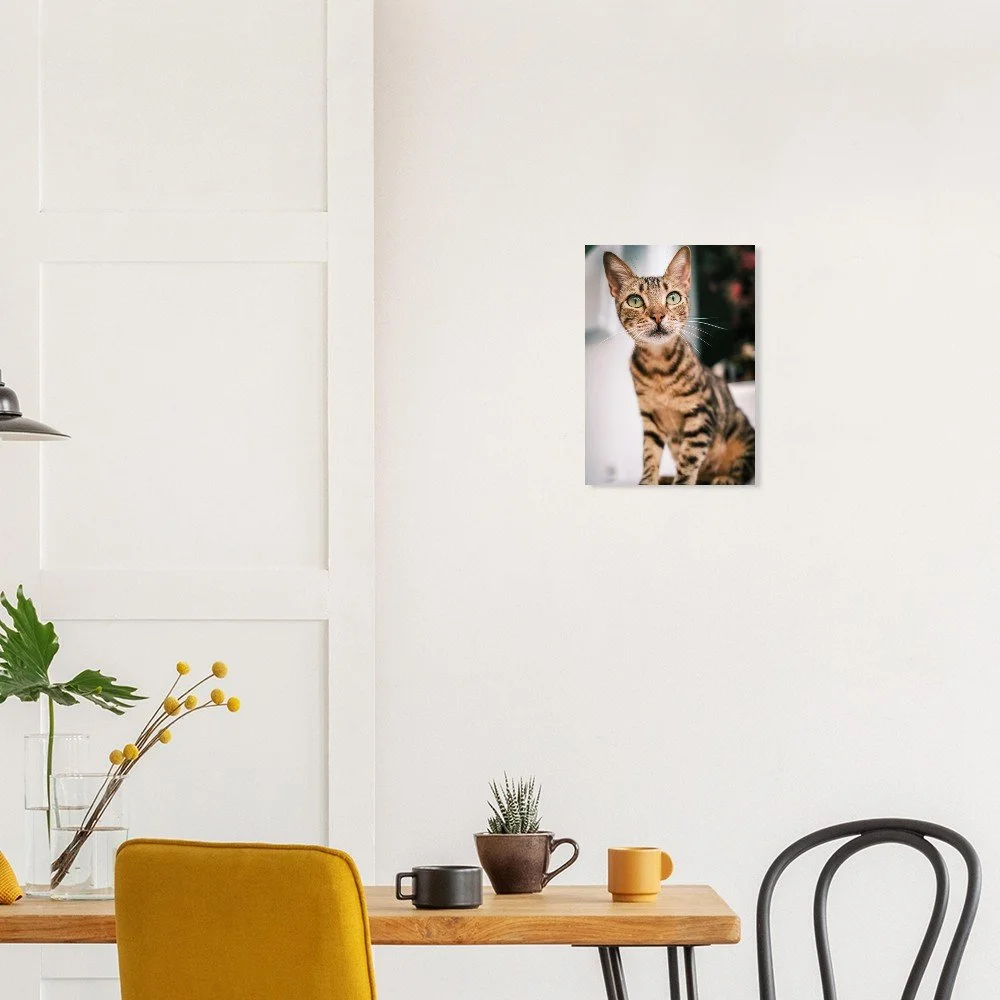 tmp-3932-7J9zvjafH7Ok