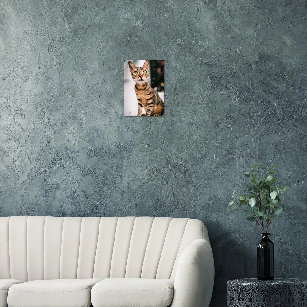 tmp-3932-WIajgOZx4GT5