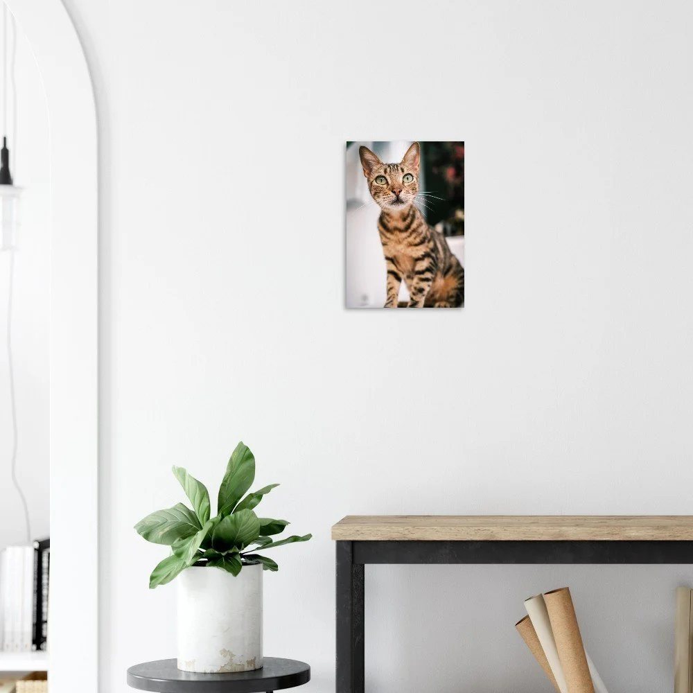 tmp-3932-f80Z8Gl7jOKt