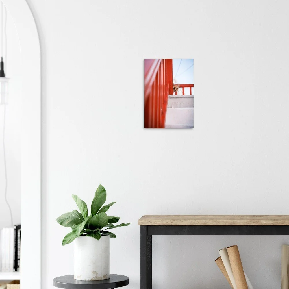 tmp-4641-WwzDy5PLs6HE