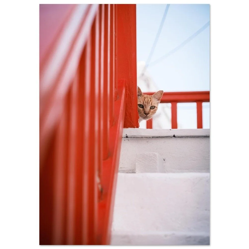 tmp-4641-a0JeIs3WB1TO