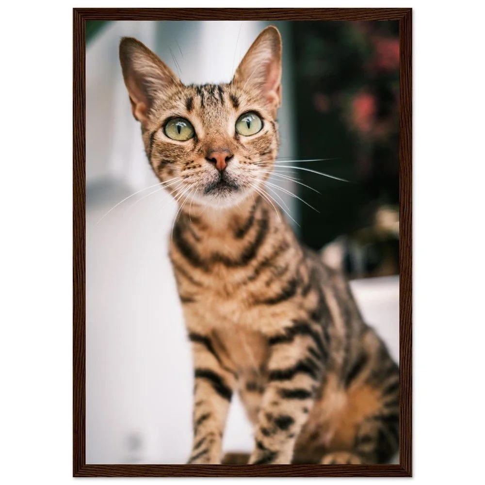 tmp-860-30GfYxf3H2HW