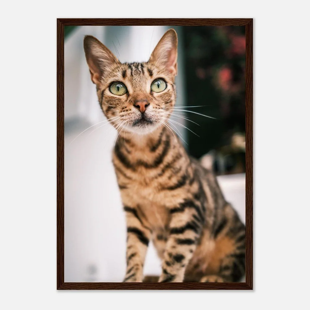 tmp-860-6rGAnSwhOXgE