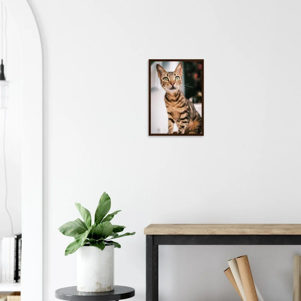 tmp-860-30T73ouw2m55