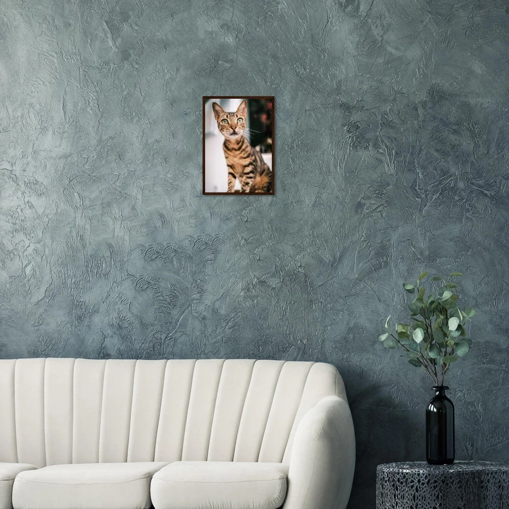 tmp-860-x5B2ypnttNBs