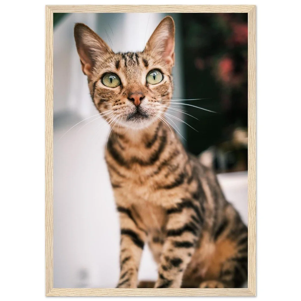 tmp-860-UfaqjJskpCpC