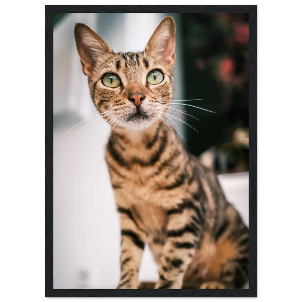 tmp-860-W8OgLVs125qK