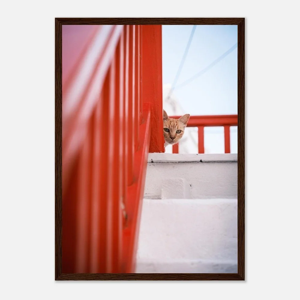 tmp-151-u02pL37RmB6j