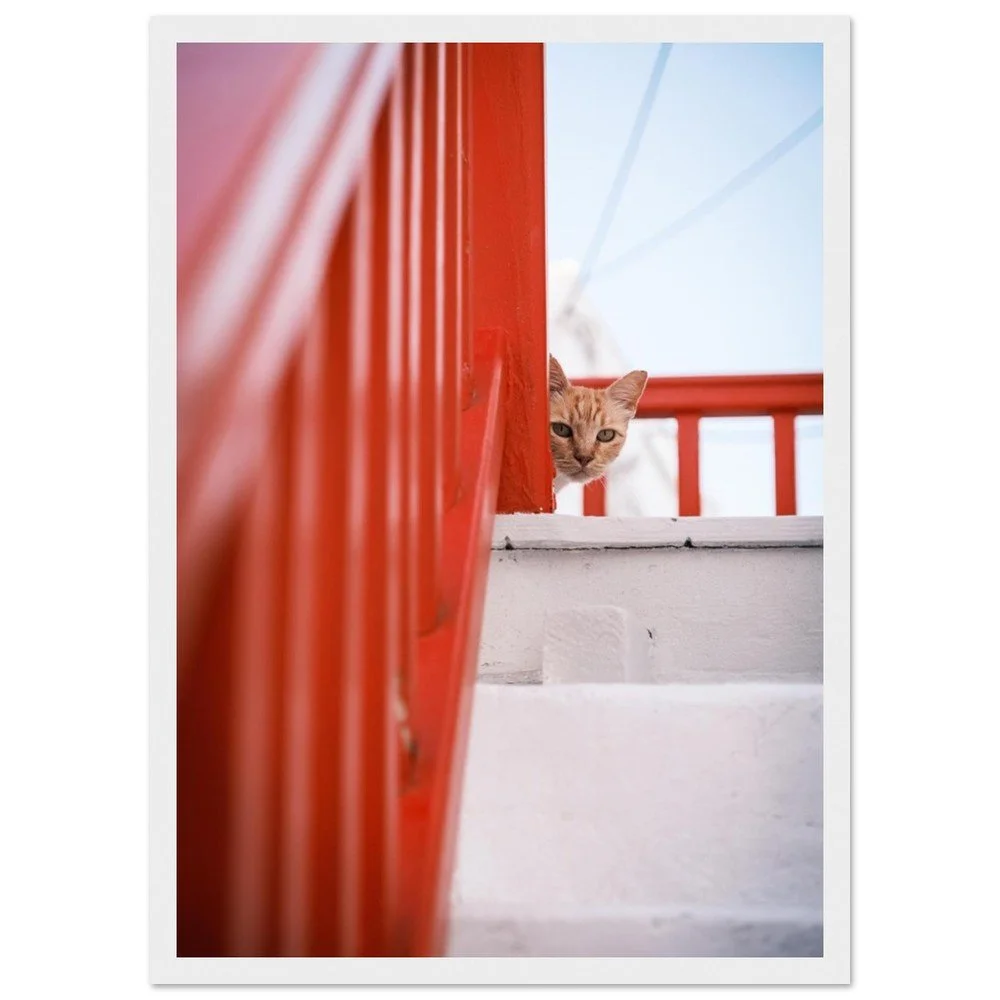 tmp-151-dvmmOAC6wRW6