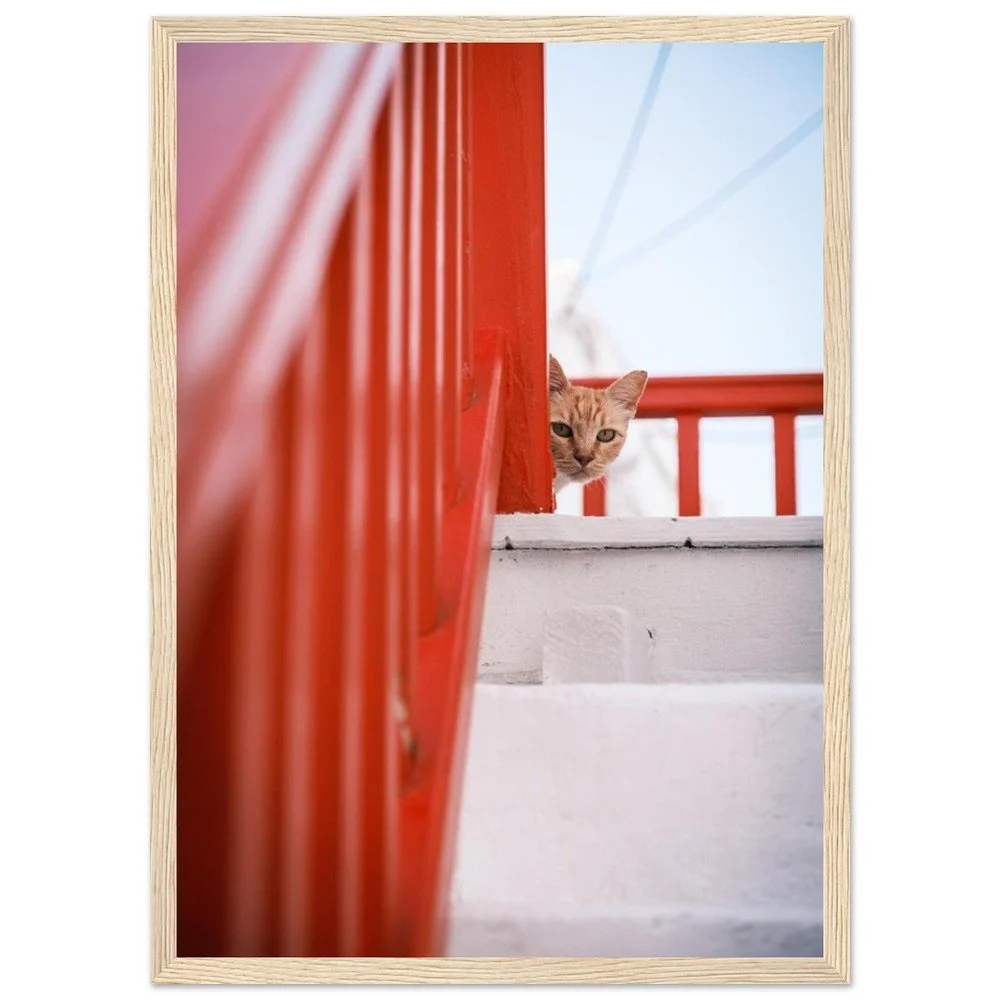 tmp-151-58SoPEvO4sE2