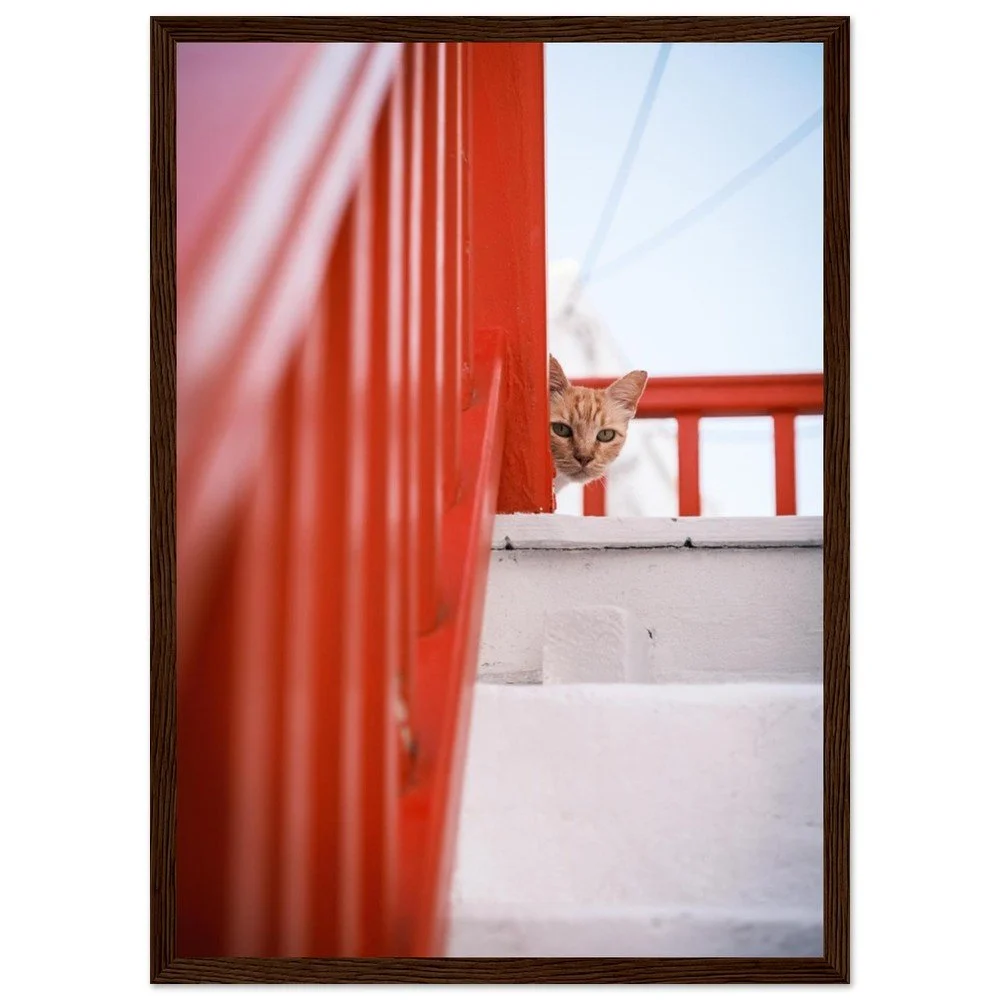 tmp-151-xIw4KjshImFr