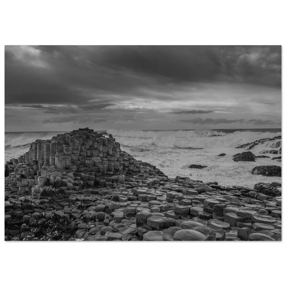 tmp-13575-YpOQqIMPMGUU