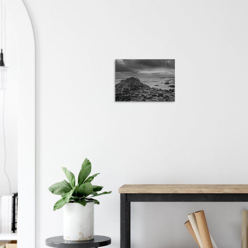 tmp-13575-aLpRNgKYZFiK