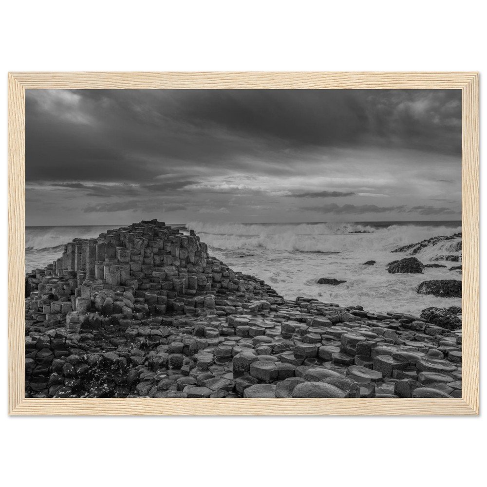 tmp-5154-IHuaIgg9jzjy