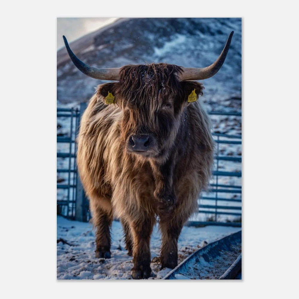 tmp-151-XCmtwVdKpzqC