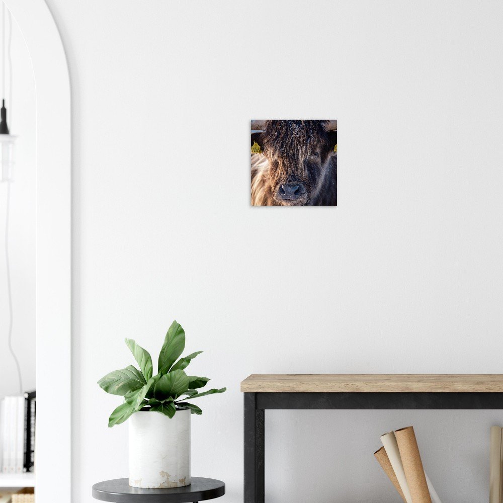 tmp-170-Zy9iHFqIgZj3