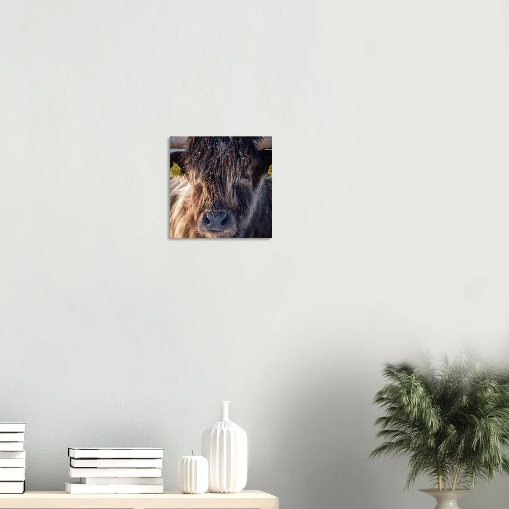 tmp-170-sgCAD0kduc3y