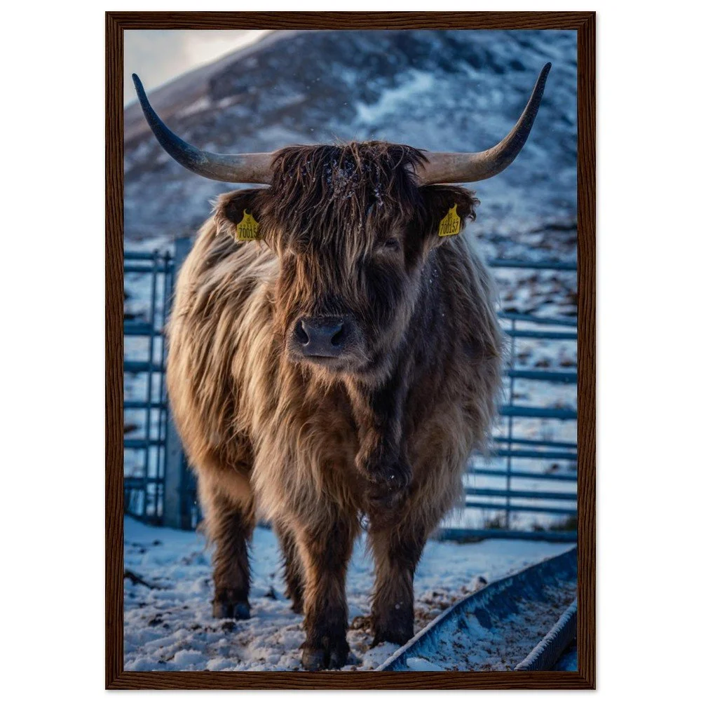 tmp-164-W5ITDSfjR73K