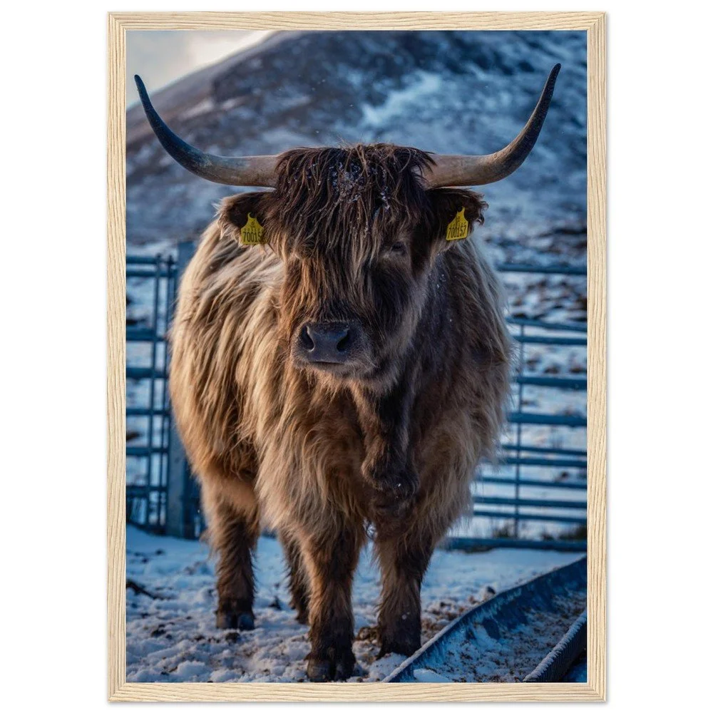 tmp-164-RysdtpIGL3Me