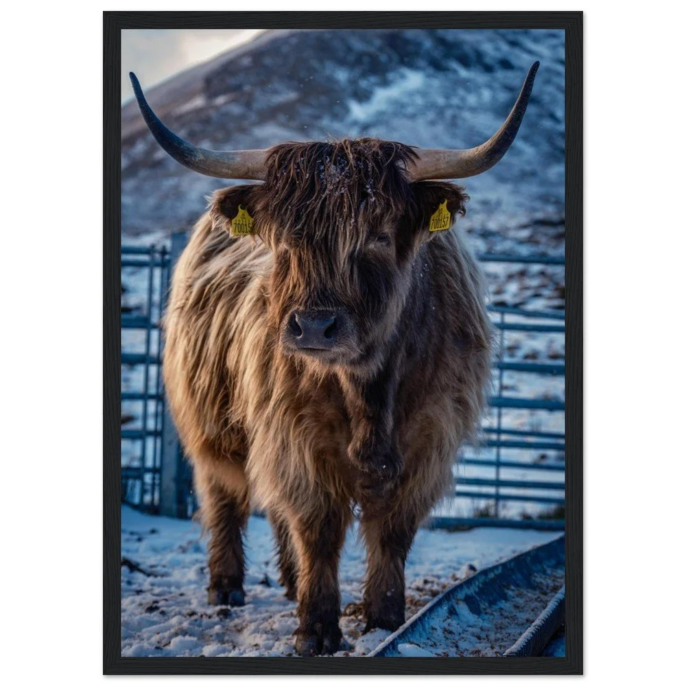 tmp-164-W4iurZd7NwgL