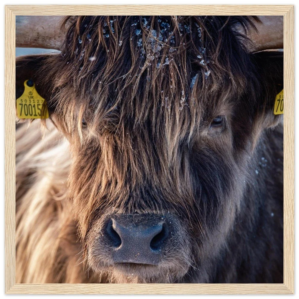 tmp-164-KlaYGE8mPlEE