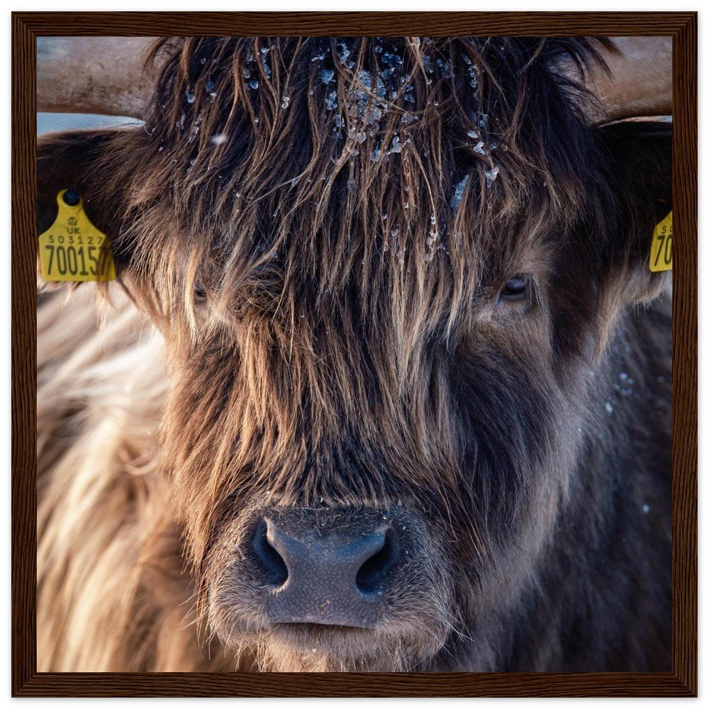 tmp-164-MObIy7GcY6sI