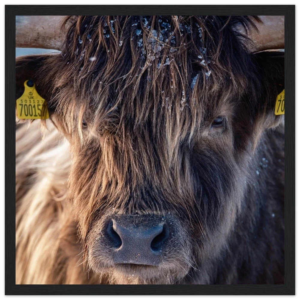 tmp-164-7ihkOe60Kc84