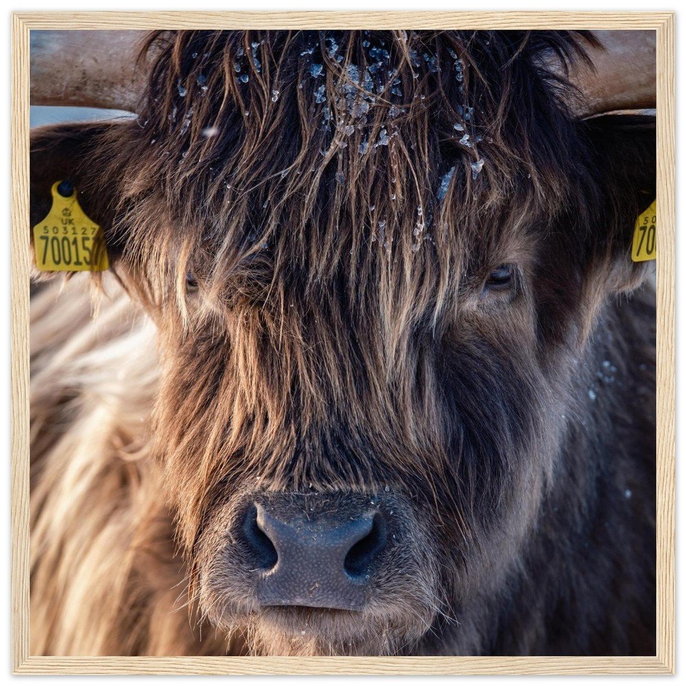 tmp-164-9or7oPSRZxXe