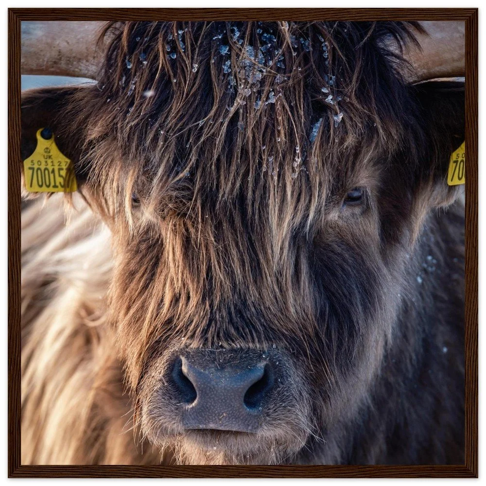 tmp-164-lT489RnX4NEA