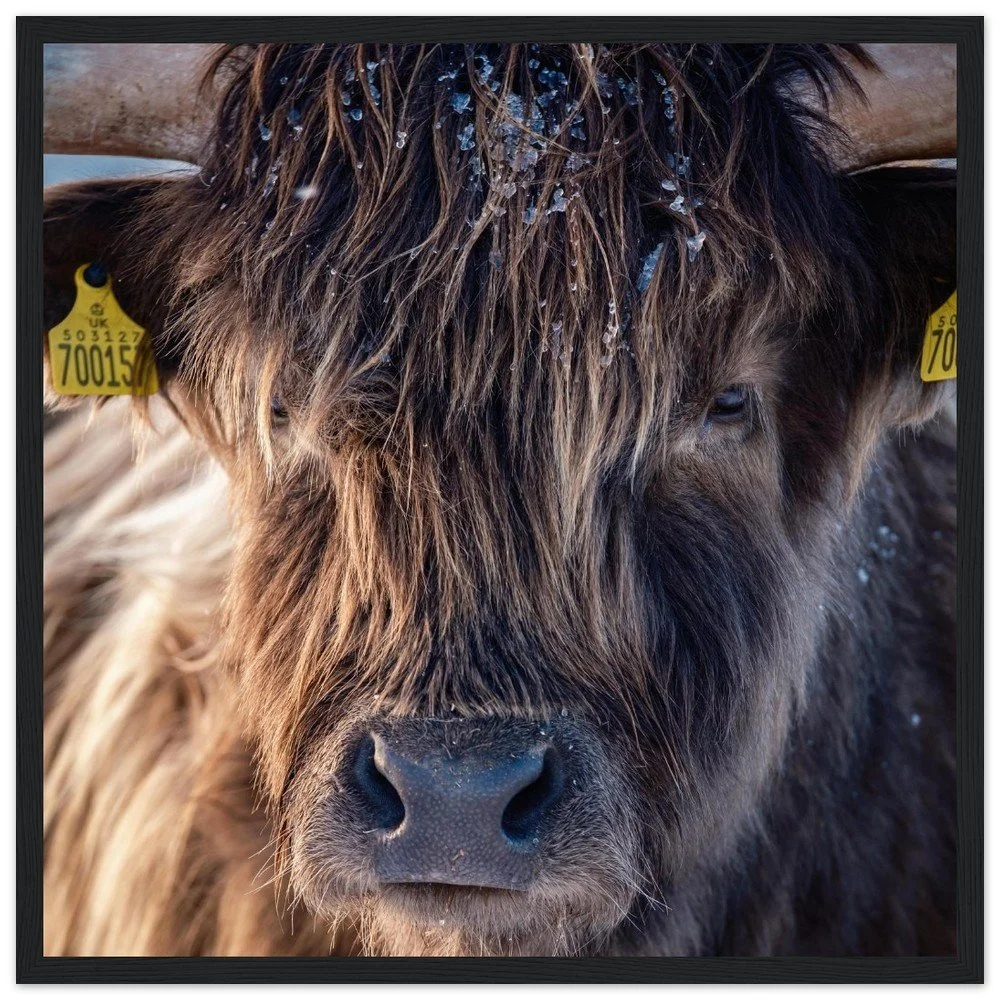 tmp-164-cngycHoaxyxj