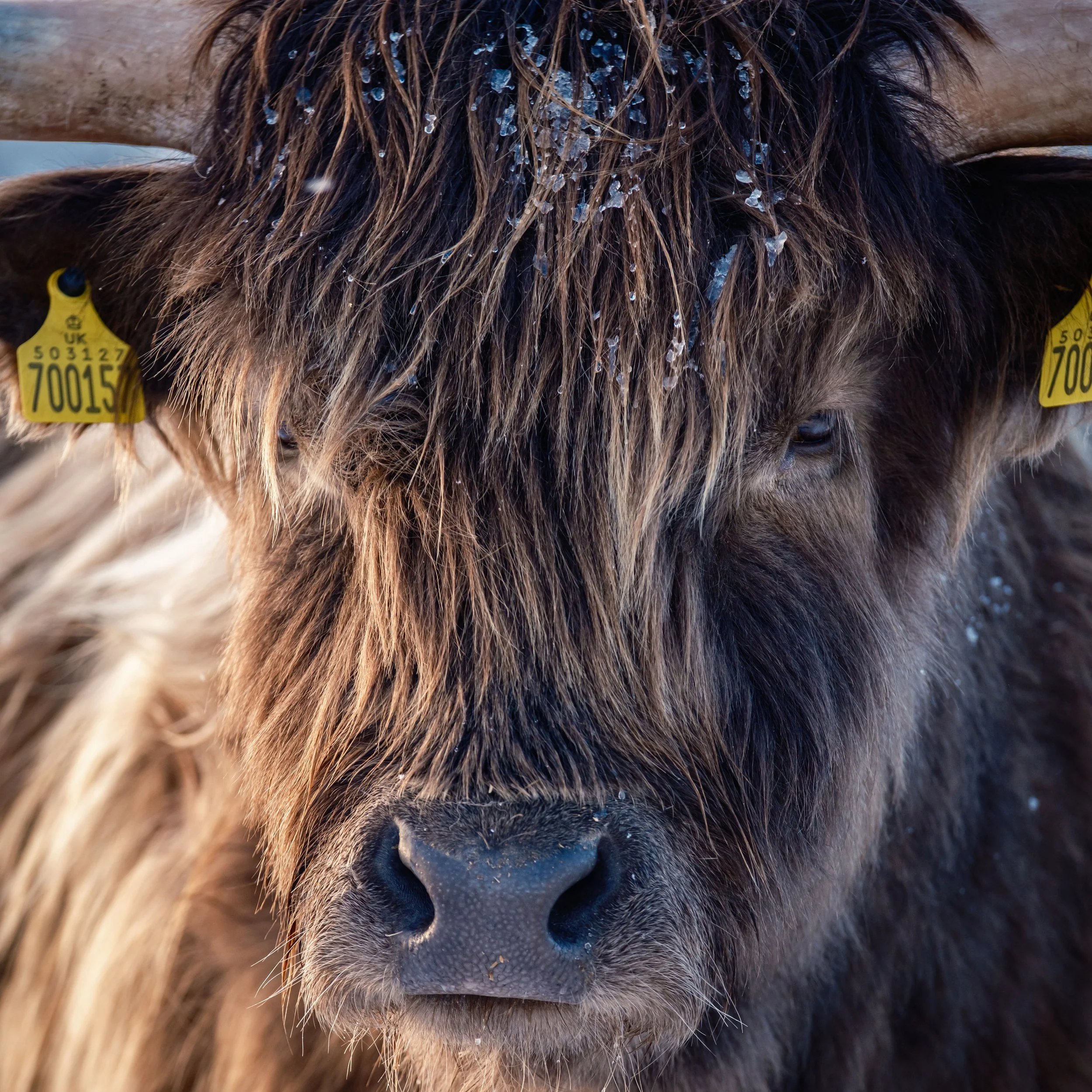 Day 3 — Letting the Highlands Set the Pace