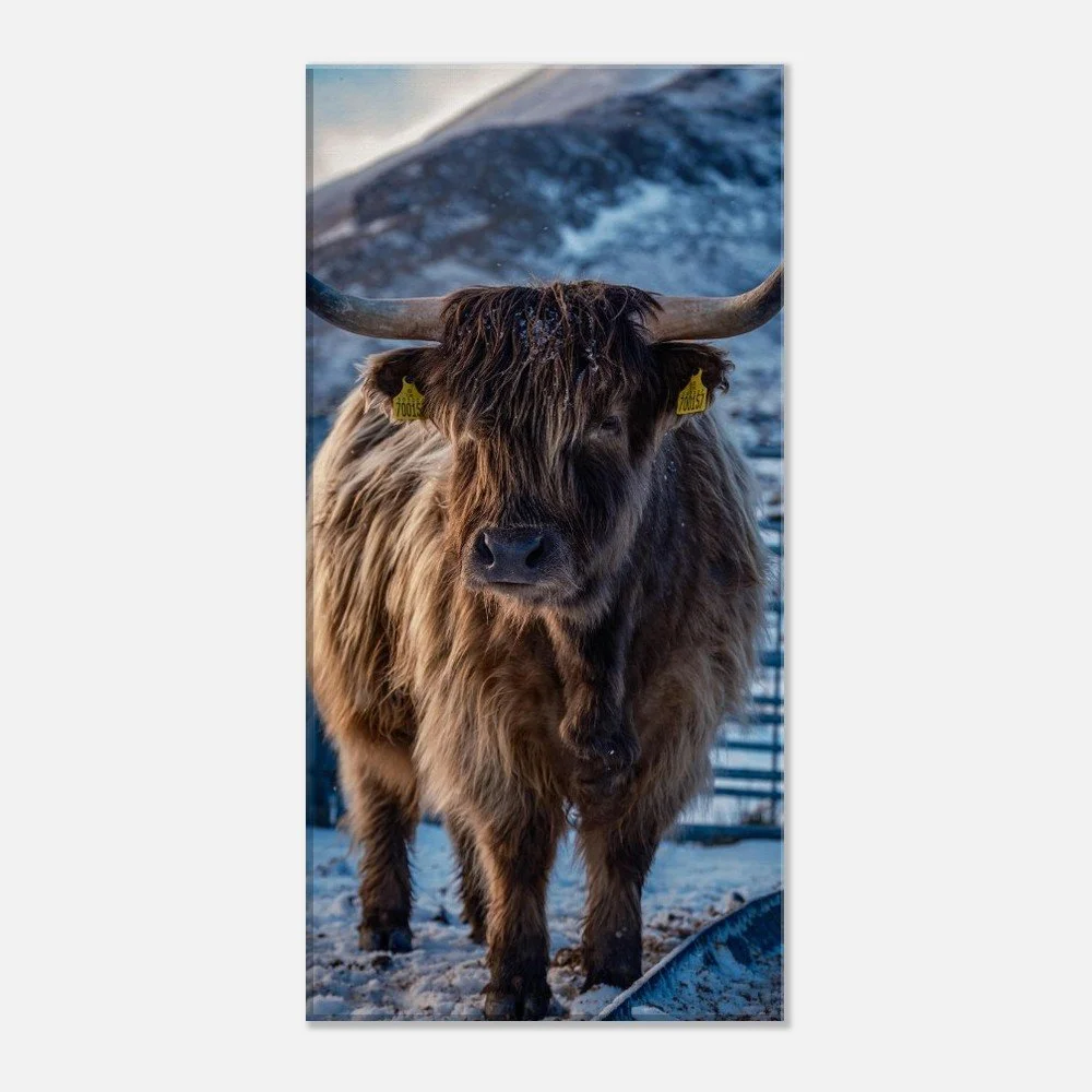 tmp-162-Tmwgp0UZg2dl