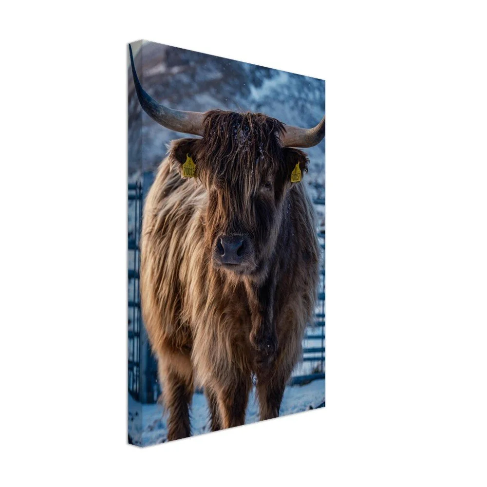 tmp-162-fDGC01DoAykM