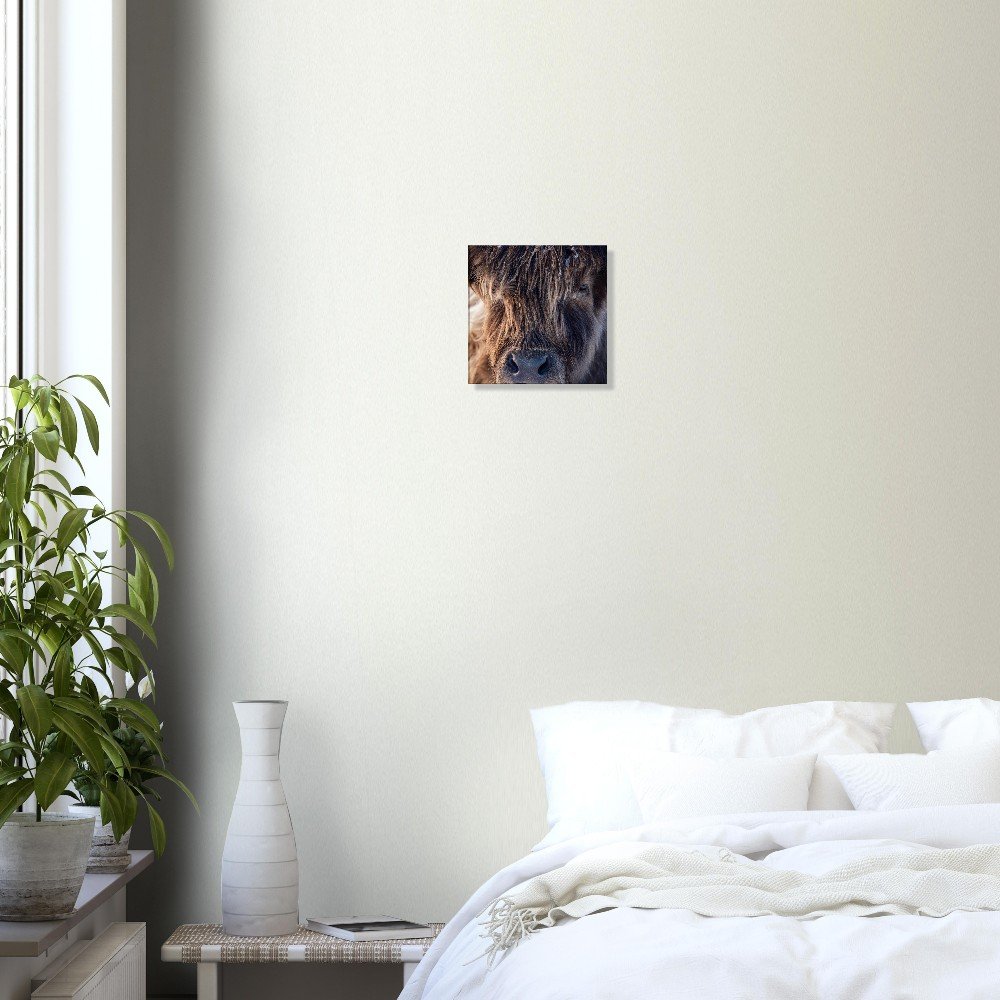 tmp-151-dVpPQYCCM7oz